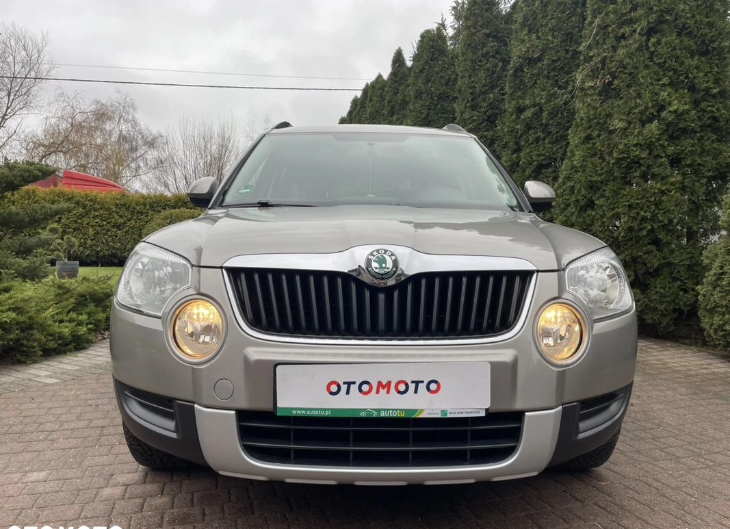 Skoda Yeti cena 39800 przebieg: 174000, rok produkcji 2013 z Strzelce Opolskie małe 562